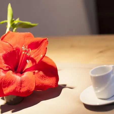 Апартаменты Falkner Зёльден